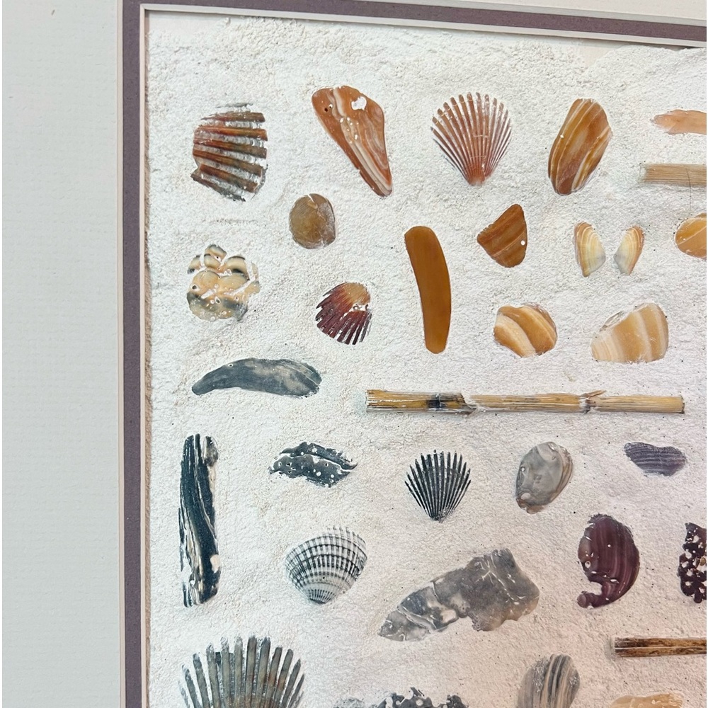 Coastal Eclectic Shell Wall Art, Outerbanks Seashells Beachy Home Decor Painting - Picture 3 of 6